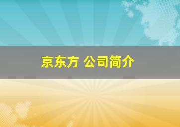 京东方 公司简介